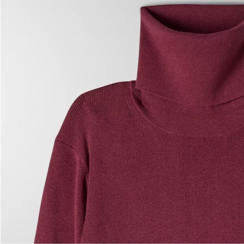 Aritzia Wilfred Rebecca Burgundy Turtleneck Mini Dress size Small BNWT - Picture 3 of 9